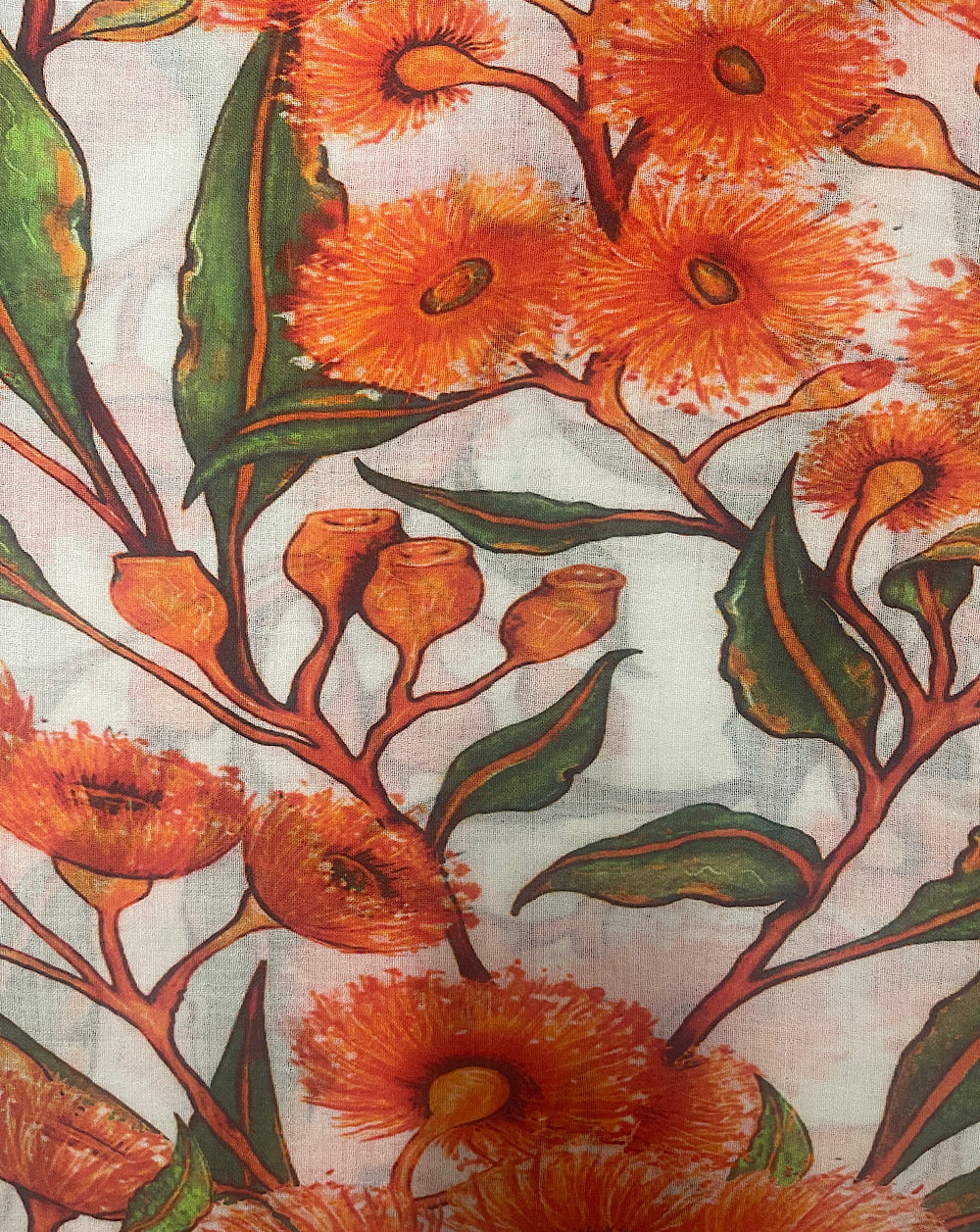 FLOWERING GUM ORANGE