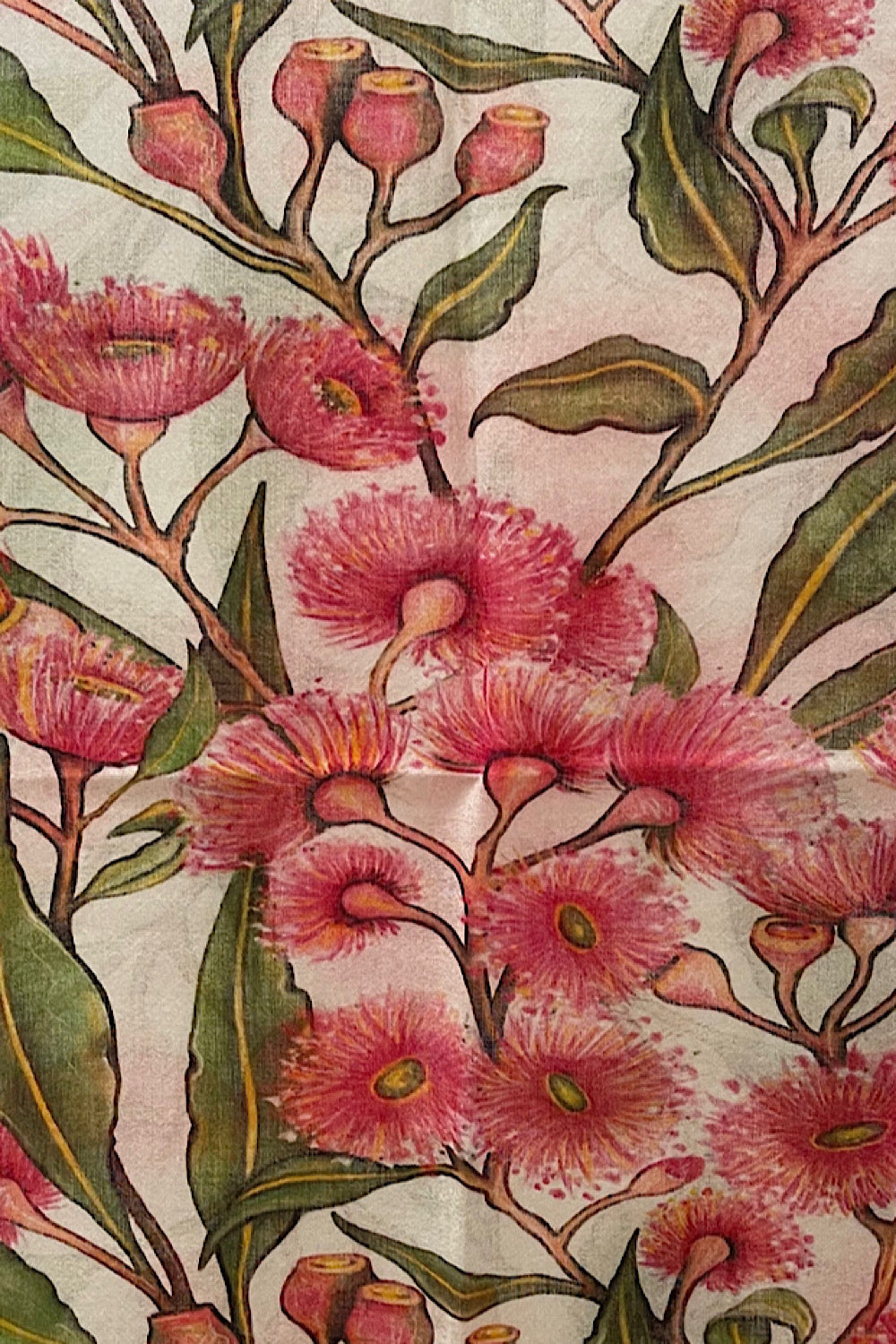FLOWERING GUM PINK