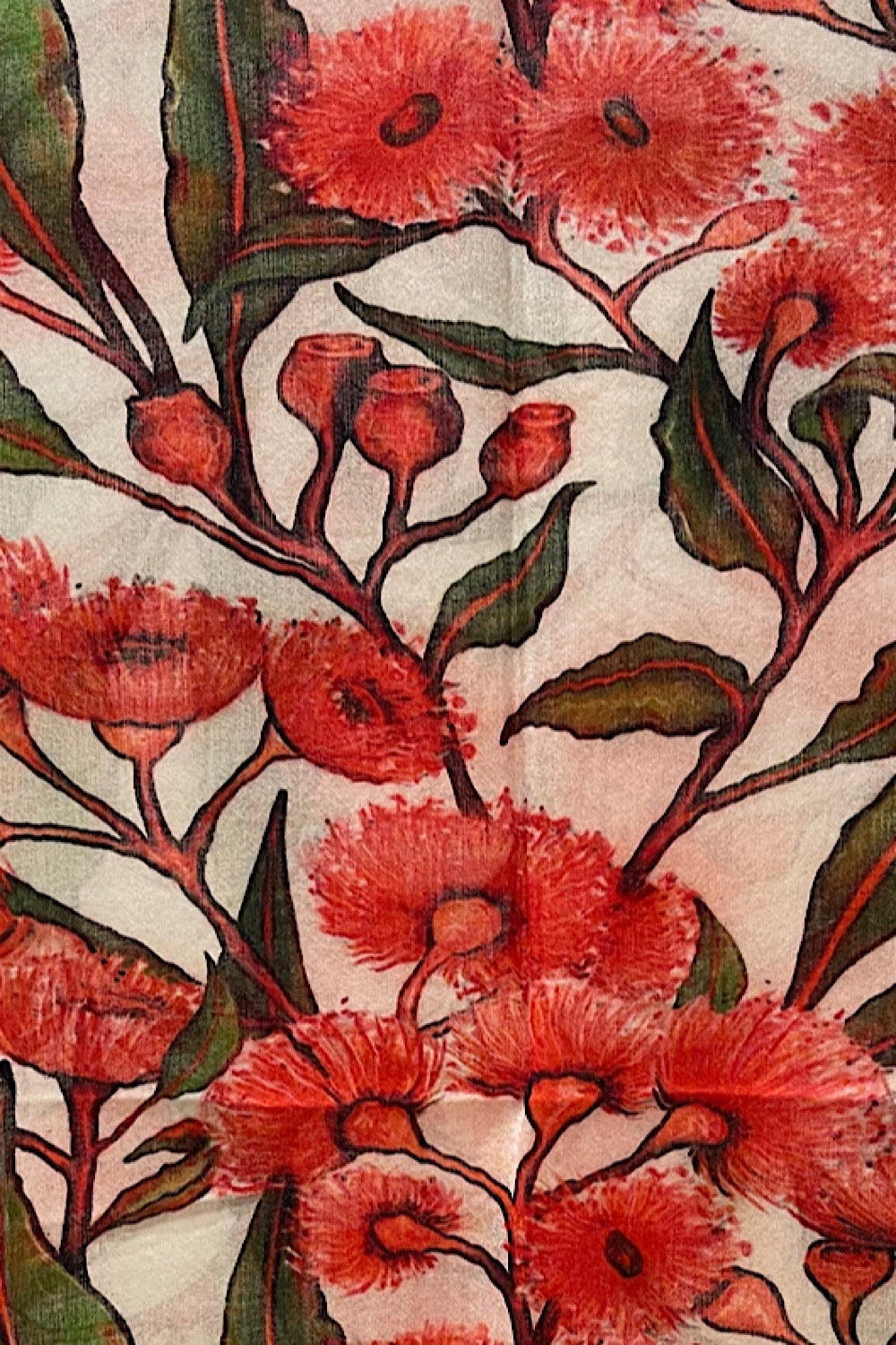 FLOWERING GUM RED