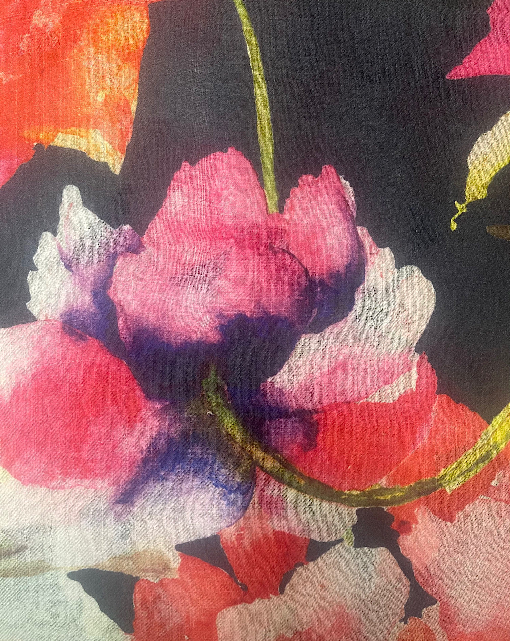 NEW ROSES BLACK